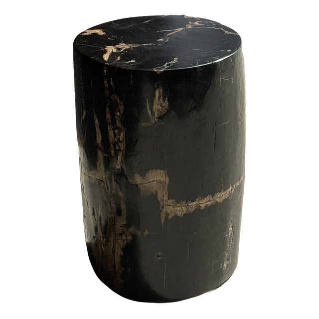 Small Side Table in Black Petrified Wood with Striates and Beige Lower Side For Sale