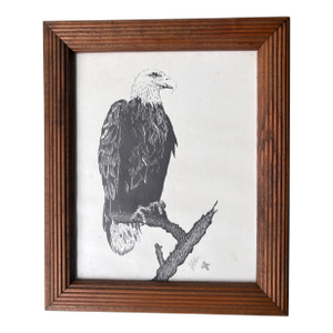 Signed Dick Ayre Bald Eagle Wildlife Print in Rustic Wood Frame, Circa 1992