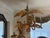 Mario Torres Palm Tree Chandelier With Monkey. Offered is a great signed Mexican Modern Woven Rattan Palm Tree Chandelier...