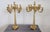 Antique Gilt Bronze Candelabras with 11 Lights, Late 19th Century, Set of 2 For Sale - Image 6 of 18
