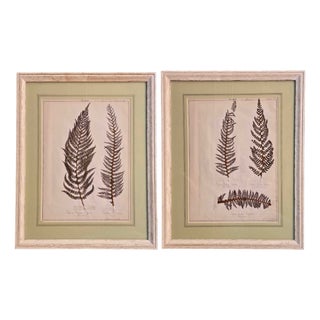 Large 19th Century French Herbarium, Set of 2 For Sale