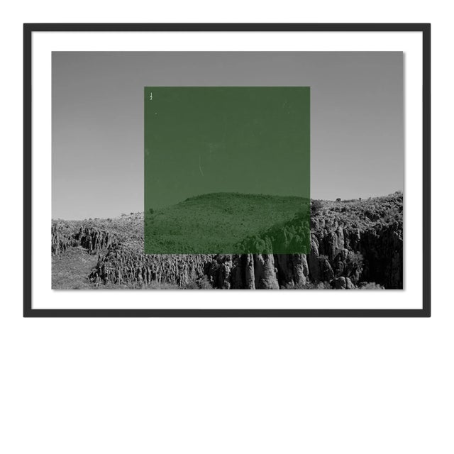 Green on BW2 by Riley Ryan-Wood Contemporary Photograph in Black Frame, Small For Sale