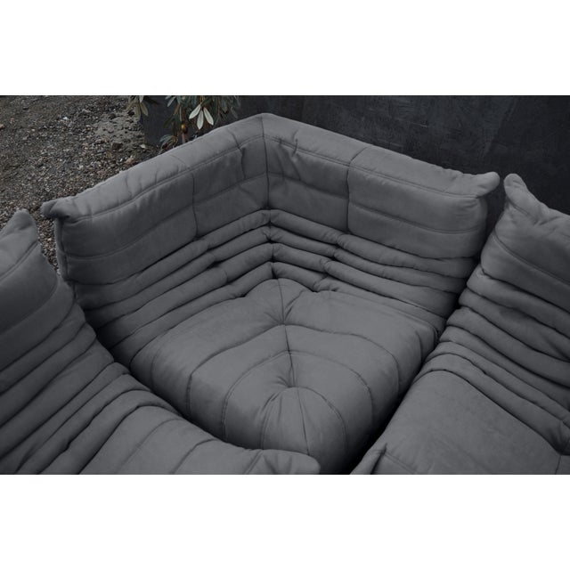 Mid-Century Modern Togo Sofa in Grey Microfiber by Michel Ducaroy for Ligne Roset, Set of 5 For Sale - Image 3 of 6