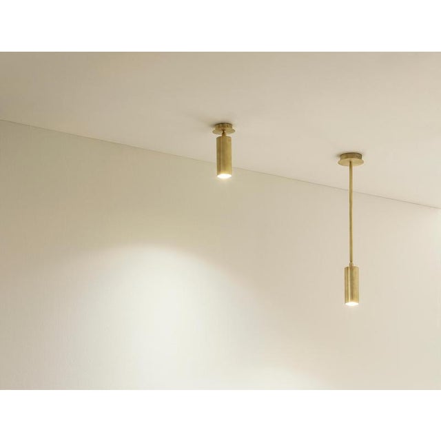Not Yet Made - Made To Order TF500 Ceiling Lamp in Satin Brass with an Adjustable Tubular Diffuser by Daluce For Sale - Image 5 of 6