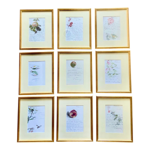 Vintage Framed Manet Aquarelle Letter Prints, Set of 9
