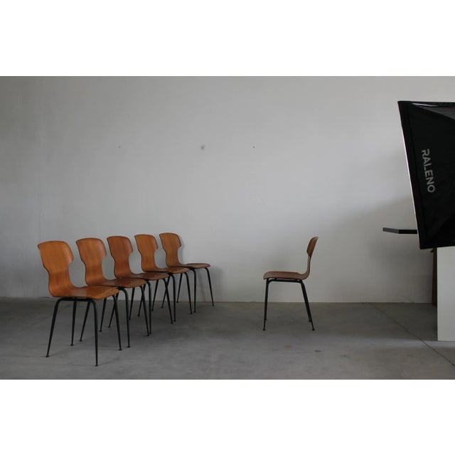 1950s Plywood Chairs by Carlo Ratti for Industria Legni Curvati Lissone, 1950, Set of 6 For Sale - Image 5 of 7