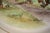 Mid 20th Century Set X 4 Cyril Gorainoff Hand Painted Equestrian Theme Dinner Plates For Sale - Image 5 of 10