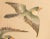 Chinoiserie C. 1950s Vintage Chinese Watercolor Scroll Painting "Two Birds" on Silk For Sale - Image 3 of 9