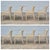 1970s Postmodern Cream Bentwood Dining Arm Chairs After Ward Bennett, Set of 8 For Sale - Image 9 of 12