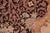 Art Nouveau 1990's Pak-Persian Black/Taupe Wool Rug - 6'2'' X 9'3'' For Sale In New York - Image 6 of 9