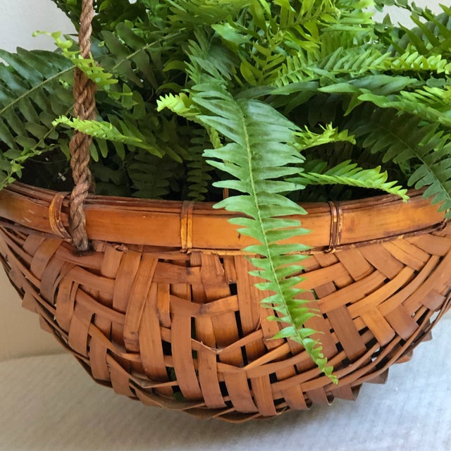 Wood 1970s Rattan Hanging Basket Planter For Sale - Image 7 of 13