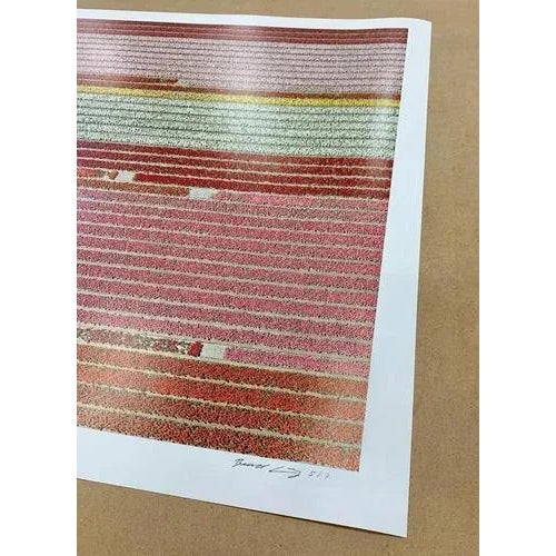 Bernhard Lang, av_tulip_fields_005, Limited Edition Fine Art Print For Sale - Image 7 of 11