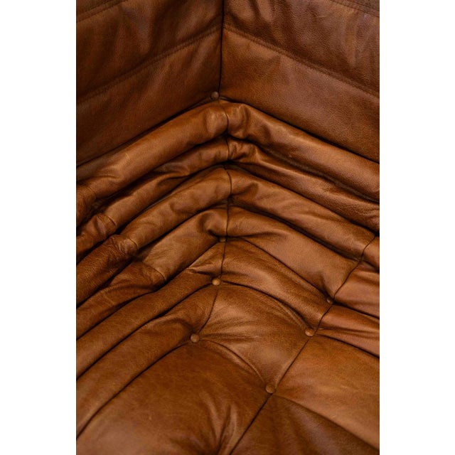Vintage Two-Seater Togo Sofa with Arms in Brown Pine Leather by Michel Ducaroy for Ligne Roset, 1970s For Sale - Image 16 of 18