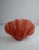 Plastic Vintage Sculptural Resin Shell Wall Sconce, 1970s For Sale - Image 7 of 18