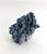 Shell Natural Blue Coral Specimen For Sale - Image 7 of 8