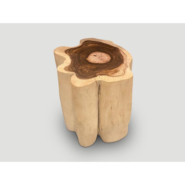 Andrianna Shamaris Rare Sono Wood Oversized Side Table or Pedestal For Sale - Image 12 of 18