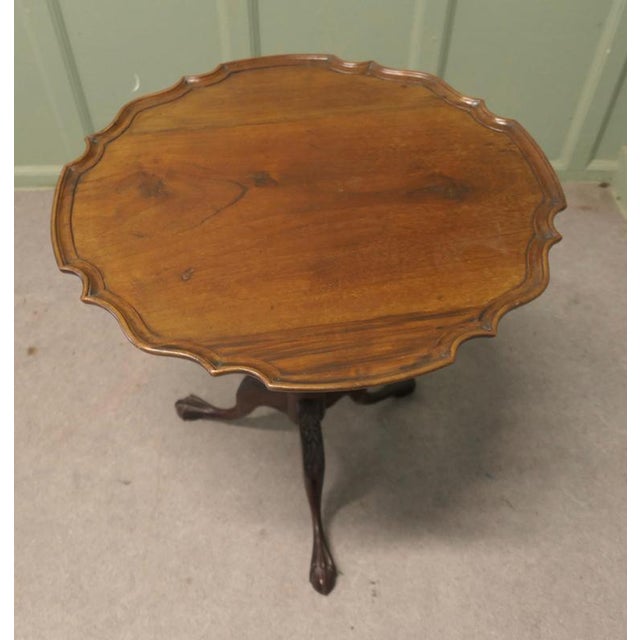 19th Century Tilt Top Wine Table on 3-Footed Base For Sale - Image 5 of 8