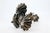 Silver Toothpick Holder with Three Shell-Shaped Holders For Sale - Image 4 of 12