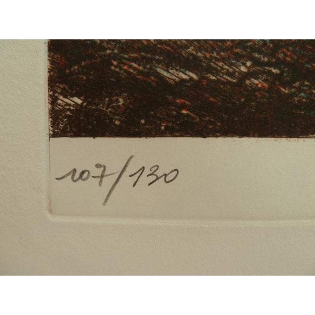 Gerard Diaz, L'olivier, Etching For Sale - Image 5 of 7