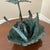 Abstract Early 21st Century Bronze Artist Made Brutalist Style Flower Sculpture For Sale - Image 3 of 11