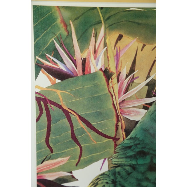 Tropical Parrot Limited Edition Print by Pam Mark 'Birds of Paradise' in Faux Bamboo Frame For Sale - Image 11 of 18