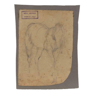 Luigi Galli, The Horse, 19th Century, Pencil on Paper For Sale