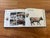 Street Art Vintage “Cows on Parade in Chicago” Hardcover Photography Book For Sale - Image 3 of 3