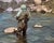 Casting on the South Platte by Sharon Pomales Tousey | Oil on aluminum panel Fisherman wading in a river. For Sale