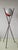Vintage Trippiede Floor Lamp by Angelo Brotto for Esperia Italy, 1950s For Sale - Image 13 of 13