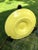 French Country Vintage Longchamp Yellow Majolica Oyster Plates - Set of 3 For Sale - Image 3 of 5