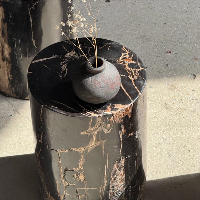 Side Table in Black Petrified Wood with Beige Stripes and Sides For Sale - Image 15 of 18