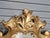 Late 20th Century Gorgeous Designer Roccoco Style Gold Gilt Wood Framed Mirror For Sale In Cleveland - Image 6 of 13