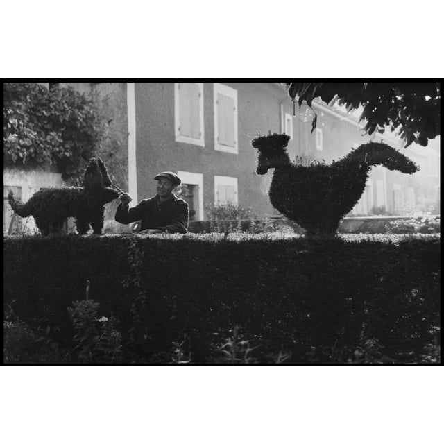 Robert Doisneau, The Boxwood Cutter, 1940s-1950s, Silver Gelatin Print For Sale