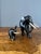 Vintage Hand Carved Ebony Elephant Set For Sale In New York - Image 6 of 9
