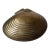 Brass Shell Trinket Box For Sale