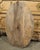 Gray Pair of Circa 1890 Weathered French Hunt Trophies on Natural Oak Oval Panels For Sale - Image 8 of 18