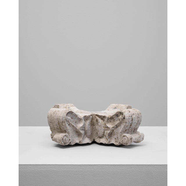 19th Century French Concrete Decoration For Sale - Image 4 of 18