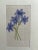 Vintage Indian Mugal Violet Art Flower Painting For Sale In Denver - Image 6 of 9