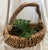 Late 20th Century Lg Vintage Rustic Harvest Branch Woven Basket For Sale - Image 5 of 7