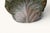 Porcelain Cabbage Tureen with Coa by Vladimir Kanevsky, 2014 For Sale - Image 11 of 15