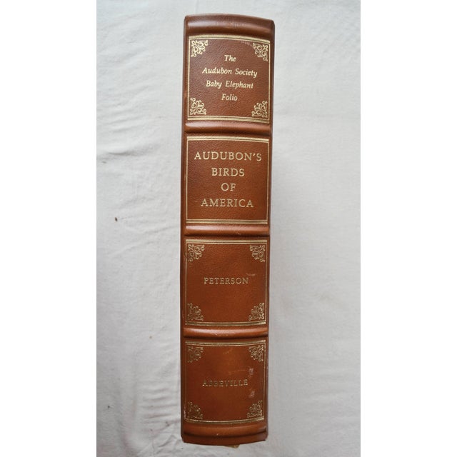 American 1981 Signed Audubon's Birds of America: The Audubon Society Baby Elephant For Sale - Image 3 of 18