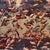 Albarran & Cabrera, Image of Fish, Photograph with Gold Leaf on Japanese Paper, 2013, Framed For Sale - Image 6 of 11