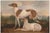 Vintage Greyhound Dog Art Print by Charles Hancock - 12" X 8" For Sale