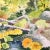 American 'Woodland Stream in Spring' by James March Phillips, San Francisco Bay Area, Monterey, California For Sale - Image 3 of 8
