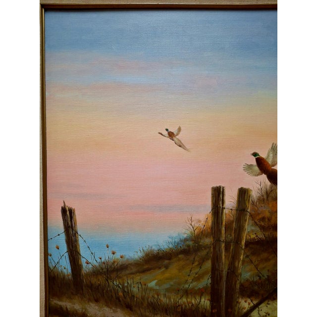 At dawn on a beautiful morning, two pheasants take flight out of their roosting cover. Were they flushed out by sudden...