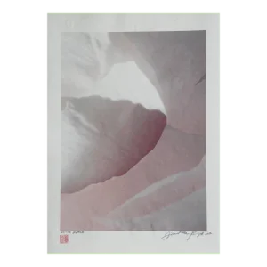 Pink and White Petals, Jonathan Singer
