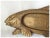 An Antique (circa early 1900s) Bronze Coy Fish Tray. The Tray has an Asian motif in the center and is realistically...