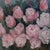 Alice Rey, Floral Still Lifes, Oils on Panels, 1950s, Set of 2 For Sale - Image 7 of 18