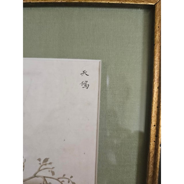 Pair of Chinese Export Bird Watercolors, Canton Natural History Paintings For Sale In Philadelphia - Image 6 of 8