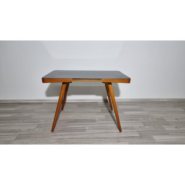Coffee Table by Jiri Jiroutek, Interior Prague, 1960s For Sale - Image 15 of 15